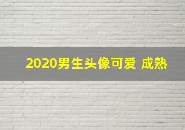 2020男生头像可爱 成熟